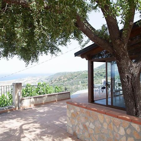 B&B Le Rose Del Tirreno ファレルナ エクステリア 写真