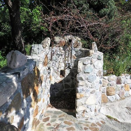 B&B Le Rose Del Tirreno ファレルナ エクステリア 写真